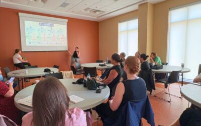 Expanding the Role of Ottawa BIAs in Community Safety and Well-Being