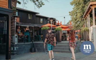 Mainstreets: Where Small Businesses Start and Grow